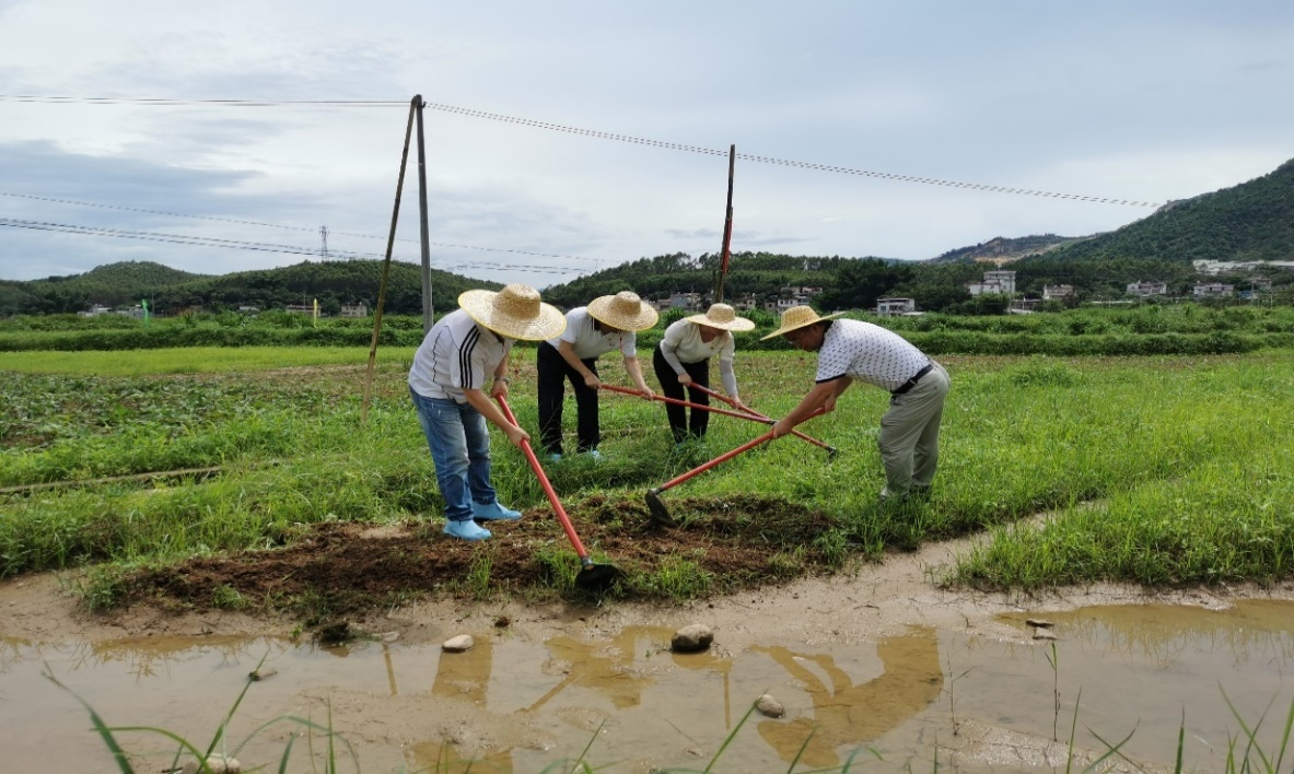 圖片1.png 圖片1.png